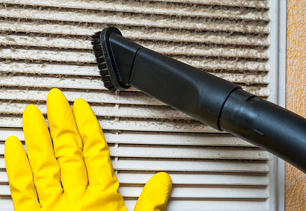 Best Residential Air Duct Cleaning  in Waimanalo Beach, HI